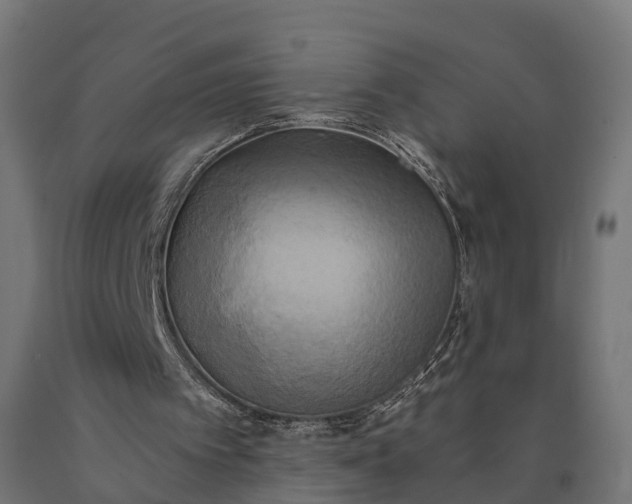 X0000090770097200708031702