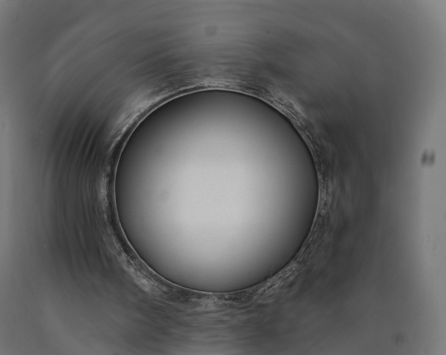 X0000090770098200708031702