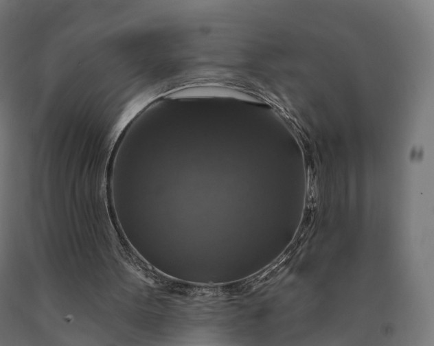 X0000090770099200708031701