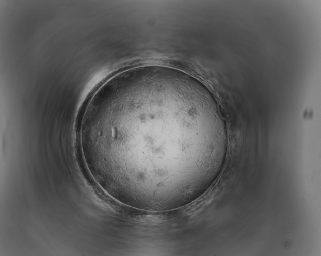 X0000090770102200708031701