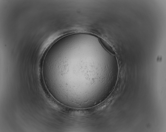 X0000090770103200708031701