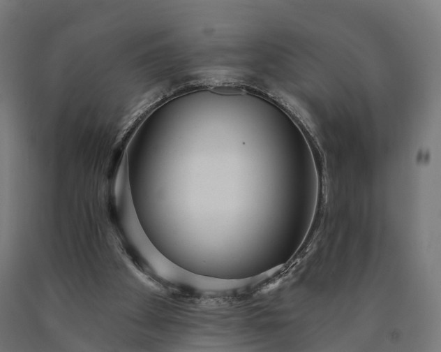 X0000090770105200708031701