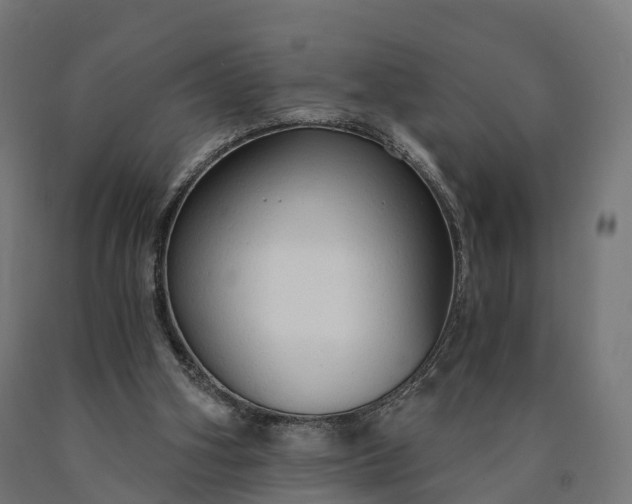 X0000090770106200708031701