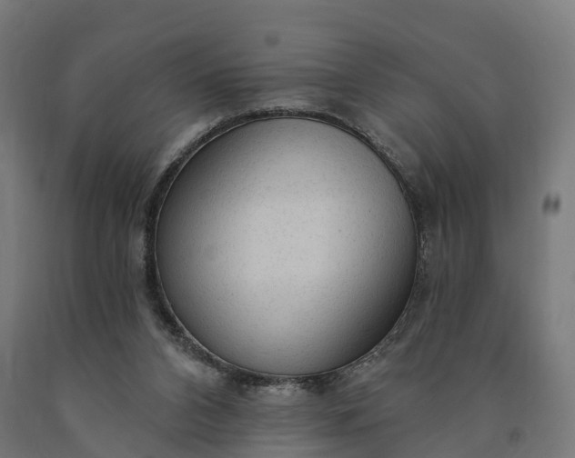X0000090770112200708031701