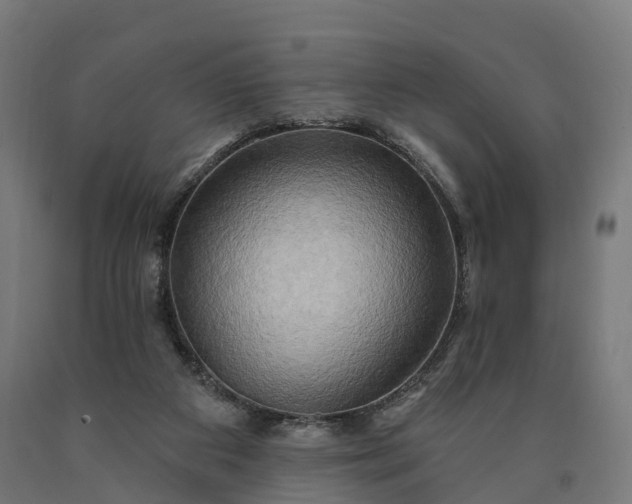 X0000090770113200708031701