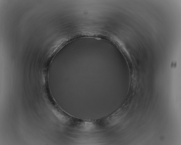 X0000090770114200708031701