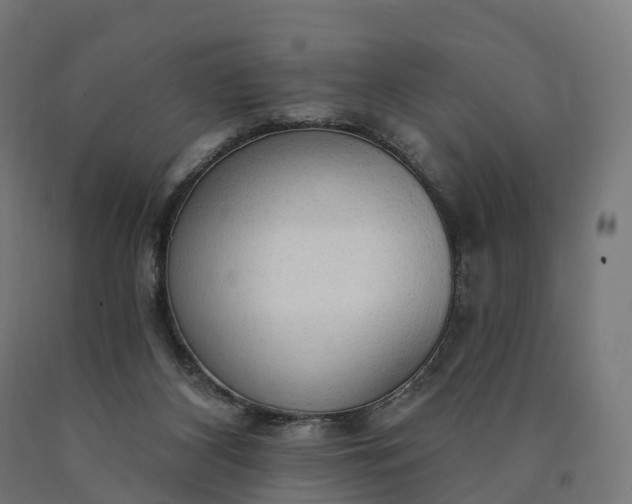 X0000090770116200708031701