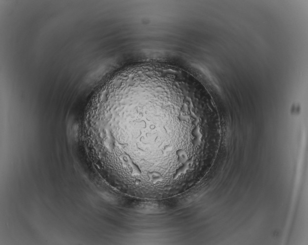 X0000090770123200708031701