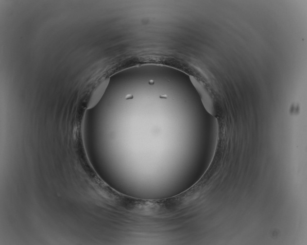 X0000090770125200708031701