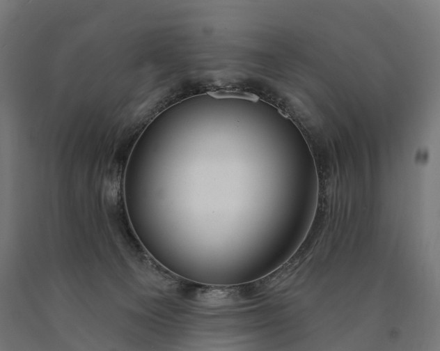 X0000090770129200708031701