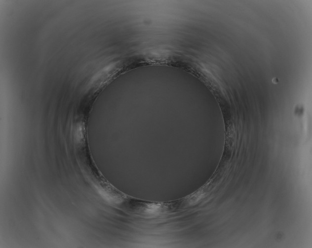X0000090770130200708031701