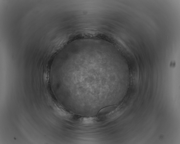 X0000090770134200708031701