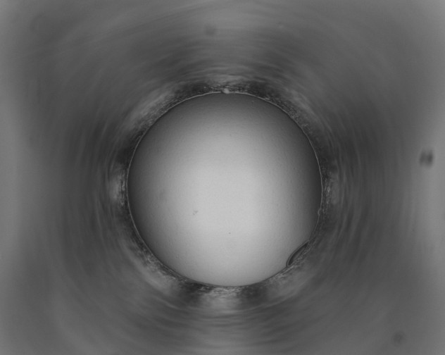 X0000090770138200708031701