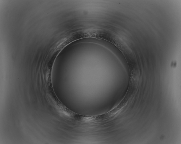 X0000090770139200708031701