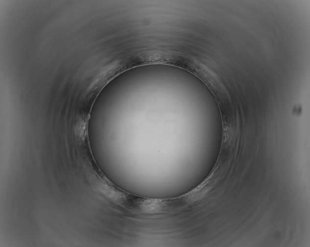 X0000090770142200708031701