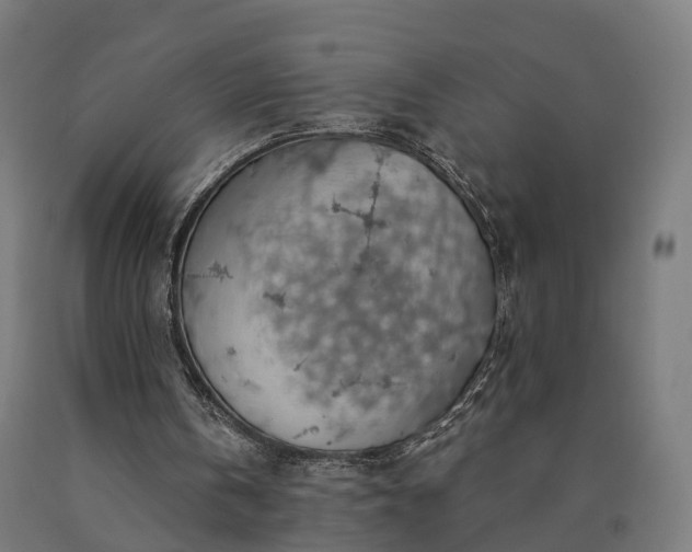 X0000090770146200708031700