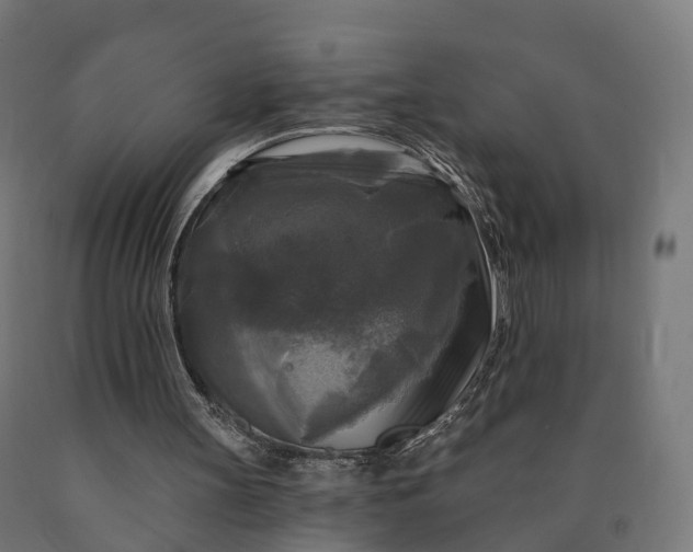 X0000090770147200708031700