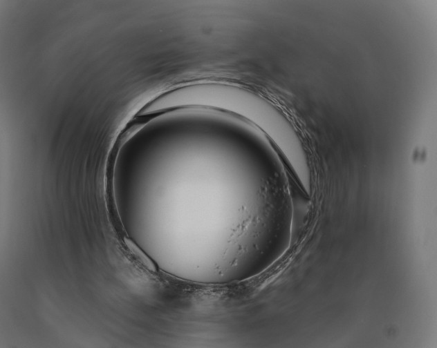 X0000090770148200708031700