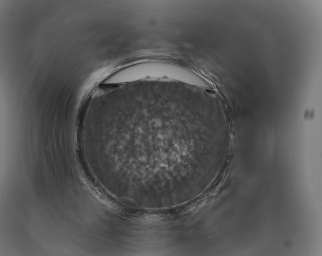 X0000090770149200708031700