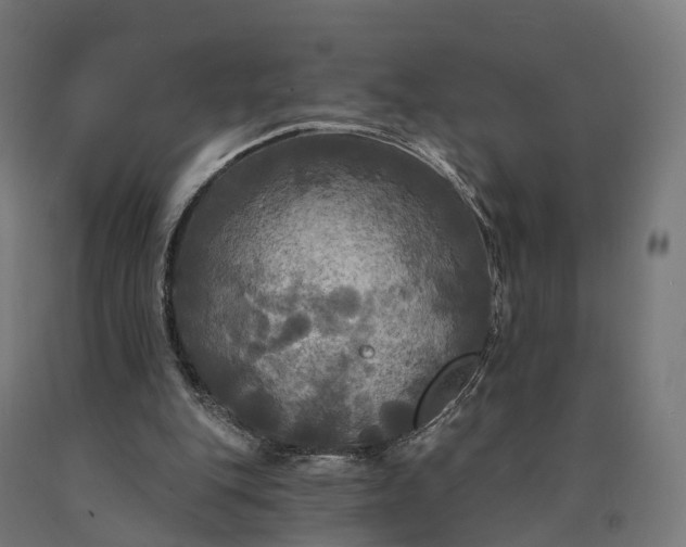 X0000090770151200708031700