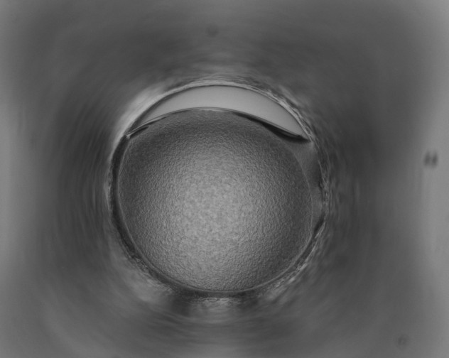X0000090770152200708031700