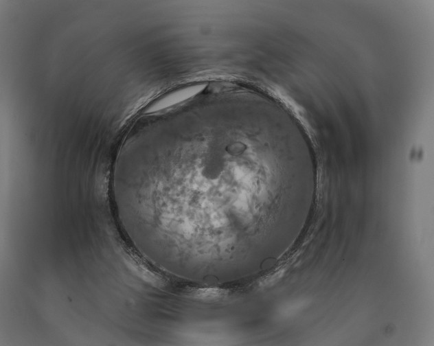 X0000090770153200708031700