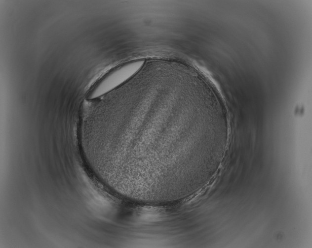 X0000090770154200708031700