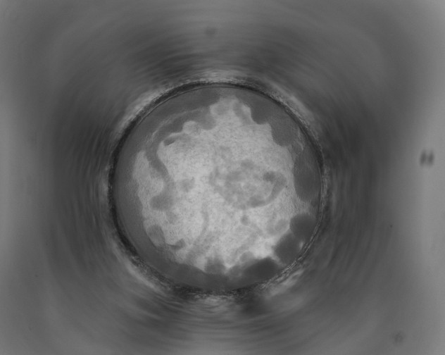 X0000090770155200708031700