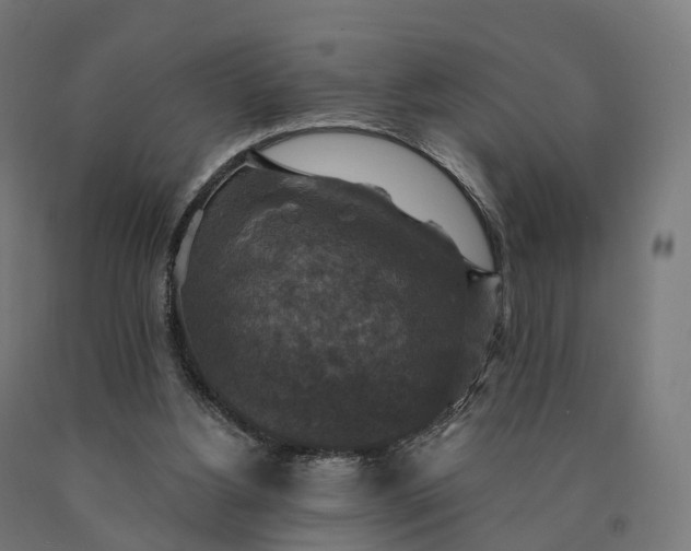 X0000090770156200708031700