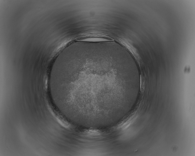 X0000090770157200708031700