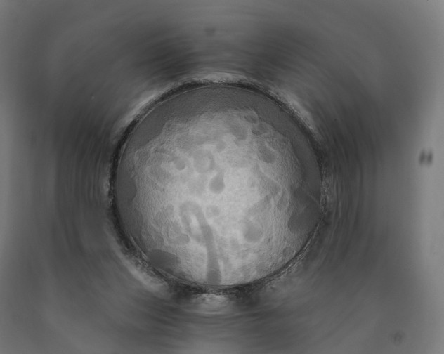 X0000090770159200708031700