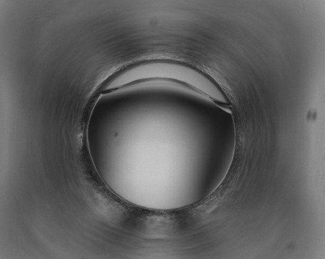 X0000090770160200708031700