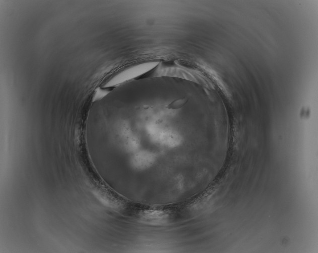 X0000090770161200708031700