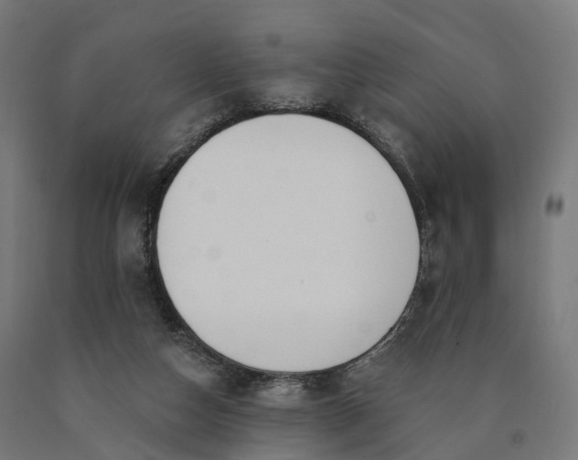 X0000090770162200708031700