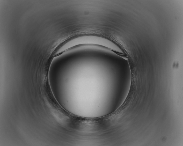 X0000090770164200708031700