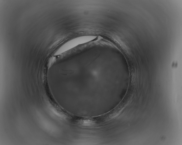 X0000090770165200708031700