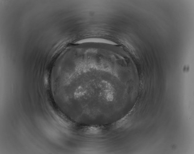 X0000090770166200708031700
