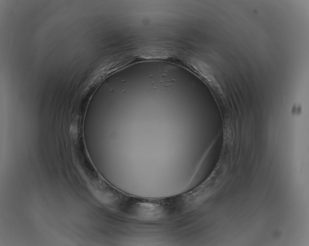 X0000090770167200708031700