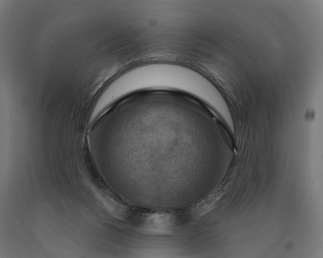 X0000090770168200708031700