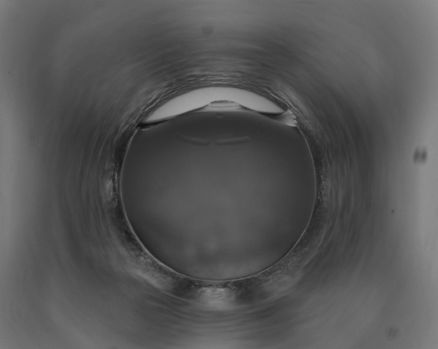 X0000090770169200708031700