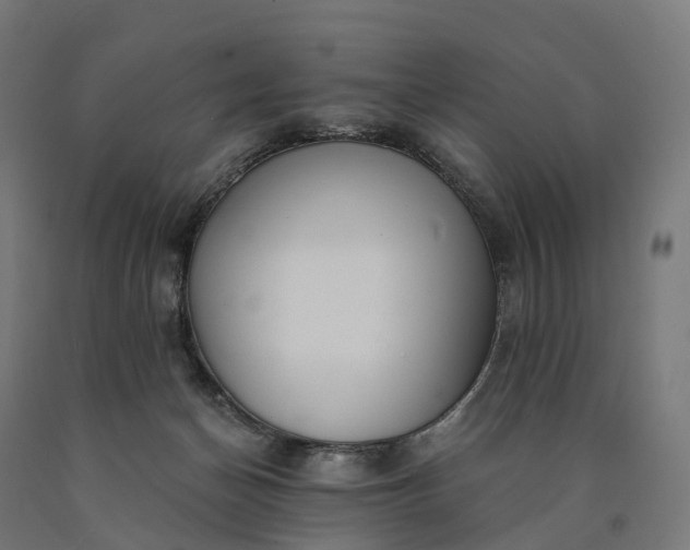 X0000090770174200708031700