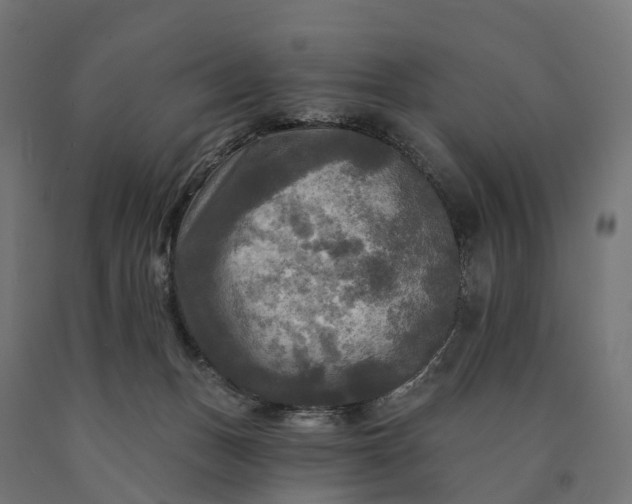X0000090770175200708031700