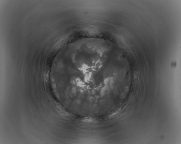 X0000090770177200708031700