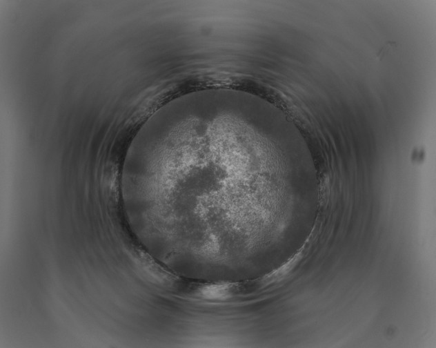 X0000090770178200708031700