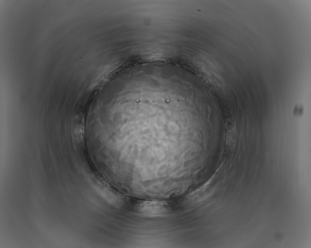 X0000090770179200708031701