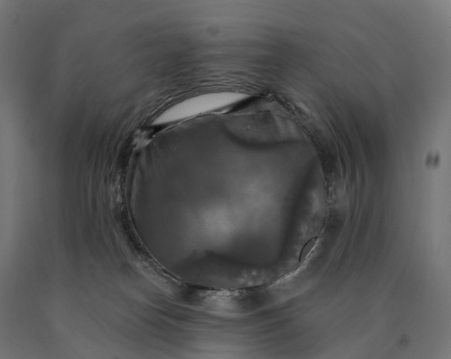 X0000090770182200708031701