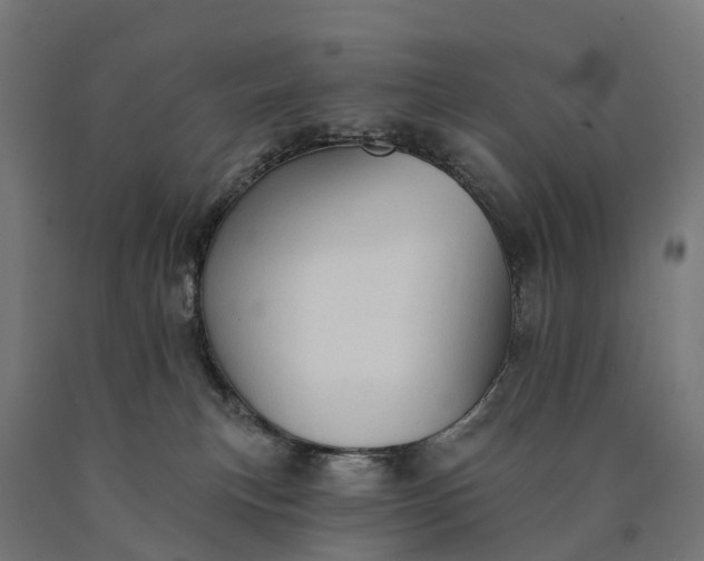 X0000090770183200708031701