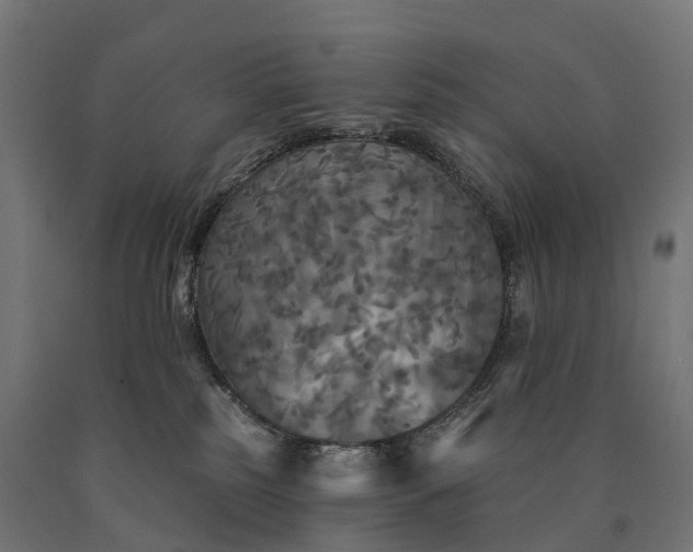 X0000090770185200708031701
