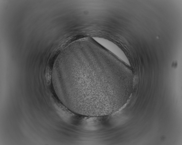 X0000090770186200708031701