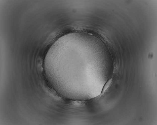X0000090770187200708031701